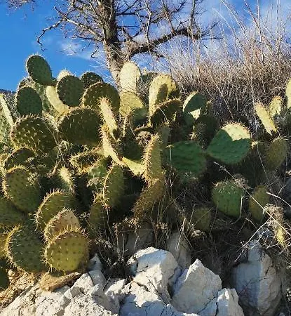 Apartmán Altstadtvilla Ban's *